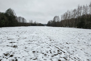 Działka na sprzedaż 25000m2 piaseczyński Prażmów Ustanów - zdjęcie 2