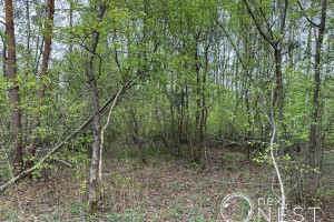 Działka na sprzedaż 1941m2 piaseczyński Konstancin-Jeziorna Czarnów Wakacyjna - zdjęcie 3