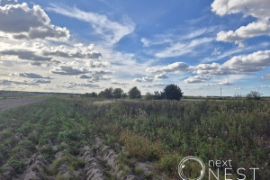 Działka na sprzedaż 16045m2 piaseczyński Lesznowola - zdjęcie 3