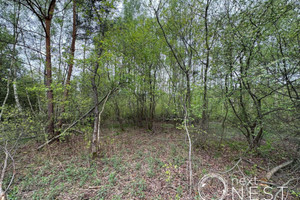 Działka na sprzedaż 1941m2 piaseczyński Konstancin-Jeziorna Czarnów Wakacyjna - zdjęcie 3