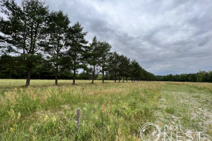 Działka na sprzedaż 1001m2 piaseczyński Prażmów Piskórka - zdjęcie 1