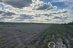 Działka na sprzedaż 16045m2 piaseczyński Lesznowola - zdjęcie 2