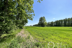 Działka na sprzedaż 1278m2 piaseczyński Prażmów Zadębie Małego Księcia - zdjęcie 2