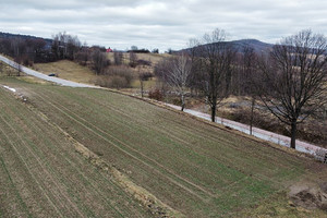 Działka na sprzedaż 5168m2 kielecki Masłów Mąchocice Kapitulne Floriana - zdjęcie 3