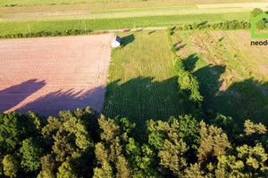 Działka na sprzedaż 5438m2 kielecki Miedziana Góra Lipowa - zdjęcie 2