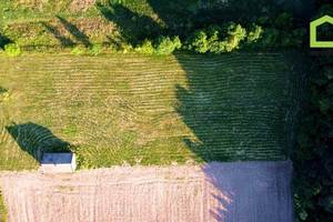 Działka na sprzedaż 5438m2 kielecki Miedziana Góra Lipowa - zdjęcie 3