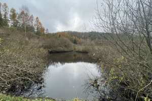 Działka na sprzedaż 5500m2 gdański Przywidz Klonowo Dolne - zdjęcie 2