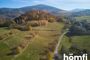 Działka na sprzedaż wałbrzyski Walim Kolonia Górna - zdjęcie 3