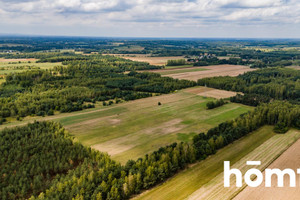 Działka na sprzedaż 45600m2 szydłowiecki Szydłowiec Zdziechów - zdjęcie 3