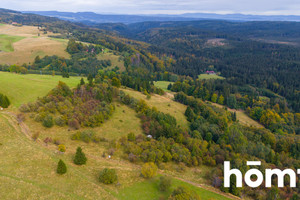 Działka na sprzedaż 4300m2 kłodzki Duszniki-Zdrój Zieleniec - zdjęcie 3