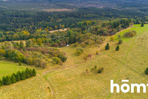 Działka na sprzedaż 4300m2 kłodzki Duszniki-Zdrój Zieleniec - zdjęcie 3