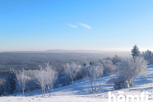 Działka na sprzedaż 4300m2 kłodzki Duszniki-Zdrój Zieleniec - zdjęcie 2