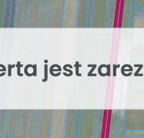 Działka na sprzedaż 65000m2 bialski Sosnówka Sapiehów - zdjęcie 1