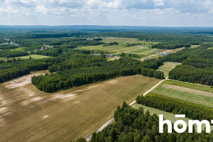 Działka na sprzedaż 1191m2 szydłowiecki Szydłowiec Zdziechów - zdjęcie 2