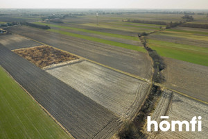 Działka na sprzedaż 5586m2 warszawski zachodni Leszno Plewniak - zdjęcie 3