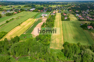 Działka na sprzedaż 3300m2 lubelski Niemce Jakubowice Konińskie-Kolonia Nowowiejska - zdjęcie 3