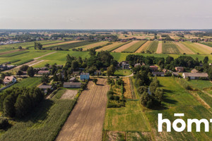 Działka na sprzedaż 16900m2 łaski Buczek Czestków A - zdjęcie 3