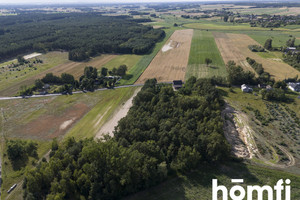 Działka na sprzedaż 13100m2 kolski Dąbie Domanin - zdjęcie 2