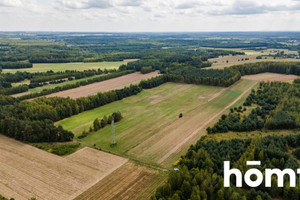 Działka na sprzedaż 45600m2 szydłowiecki Szydłowiec Zdziechów - zdjęcie 2