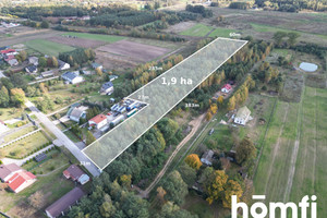 Działka na sprzedaż 19000m2 radomski Kowala Rożki - zdjęcie 1