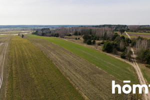 Działka na sprzedaż 15000m2 radomski Jastrzębia Goryń - zdjęcie 2