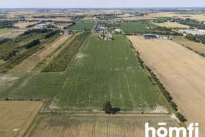 Działka na sprzedaż 8389m2 poznański Tarnowo Podgórne Poznańska - zdjęcie 3