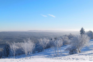 Działka na sprzedaż 4300m2 kłodzki Duszniki-Zdrój Zieleniec - zdjęcie 1