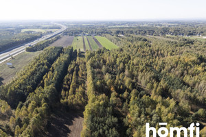 Działka na sprzedaż radomski Wolanów Kacprowice - zdjęcie 2