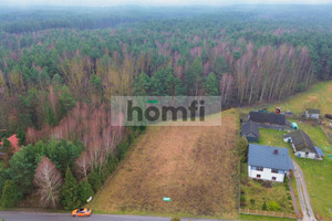 Działka na sprzedaż 3100m2 włoszczowski Radków Sulików - zdjęcie 3