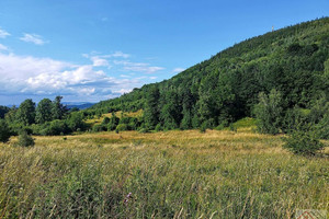 Działka na sprzedaż 1375m2 karkonoski Kowary - zdjęcie 3