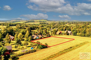 Działka na sprzedaż 2900m2 lwówecki Lubomierz Radoniów - zdjęcie 3