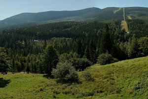 Działka na sprzedaż 6000m2 karkonoski Karpacz - zdjęcie 1