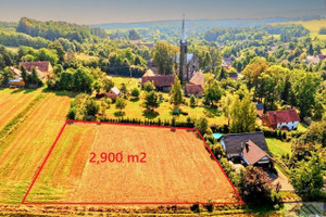 Działka na sprzedaż 2900m2 lwówecki Lubomierz Radoniów - zdjęcie 1