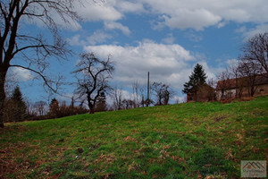 Dom na sprzedaż 150m2 lwówecki Lubomierz Oleszna Podgórska - zdjęcie 3