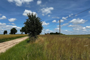 Działka na sprzedaż 4800m2 szamotulski Kaźmierz Dolne Pole Dolne Pole - zdjęcie 1