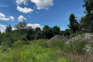 Działka na sprzedaż 4800m2 szamotulski Kaźmierz Dolne Pole Dolne Pole - zdjęcie 3