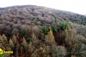 Działka na sprzedaż krakowski Krzeszowice Paczółtowice - zdjęcie 1