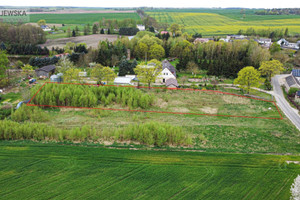 Działka na sprzedaż 3000m2 pilski Szydłowo Leżenica - zdjęcie 3