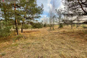 Działka na sprzedaż 3050m2 złotowski Krajenka Wąsoszki - zdjęcie 1