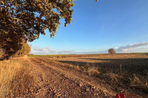 Działka na sprzedaż 2109m2 szamotulski Kaźmierz Kurkowa - zdjęcie 2