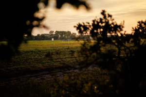 Działka na sprzedaż 800m2 lęborski Łeba - zdjęcie 3