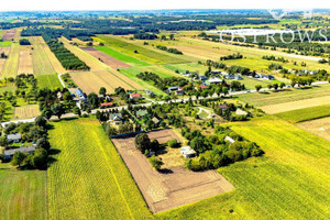 Działka na sprzedaż 1813m2 mławski Wiśniewo Żurominek - zdjęcie 3