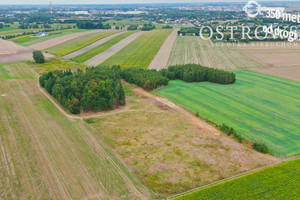 Działka na sprzedaż 1030m2 ciechanowski Ciechanów Nużewo - zdjęcie 3