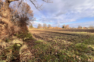 Działka na sprzedaż 3200m2 wrocławski Kąty Wrocławskie Gniechowice Kątecka - zdjęcie 3