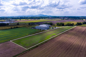 Działka na sprzedaż 12600m2 wrocławski Kobierzyce Wierzbice Oławska - zdjęcie 1