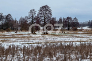 Działka na sprzedaż 1000m2 zwoleński Kazanów Niedarczów Dolny-Kolonia - zdjęcie 3