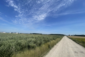 Działka na sprzedaż 946m2 szamotulski Szamotuły - zdjęcie 2