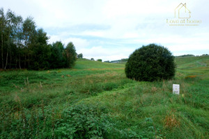 Działka na sprzedaż 1360m2 wejherowski Szemud Koleczkowo Wczasowa - zdjęcie 3