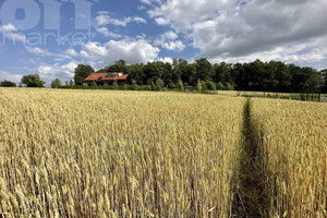 Działka na sprzedaż 2020m2 Mysłowice Wesoła Graniczna - zdjęcie 3