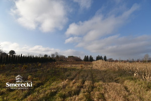 Działka na sprzedaż 3966m2 chełmski Chełm Okszów Sosnowa - zdjęcie 3